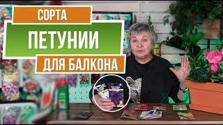 Лучшие Петунии для Балкона ️ Петунии в Вазоне ️ Цветы на Балконе