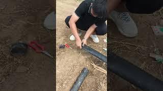 lawn irrigation drip spray irrigation hose tape use tips #shorts #subscribe #tricks #seeds