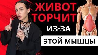 КАК ИЗБАВИТЬСЯ ОТ ТОРЧАЩЕГО ЖИВОТА НАВСЕГДА! ТЫ ТОЧНО НЕ ЗНАЛА ЭТОГО РАНЬШЕ!