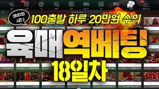 [생바닷컴 시즌 2 - 18일차] 100만원으로 매일 20만원 수익 올리기 : 베팅중에 타이가 나왔을때?