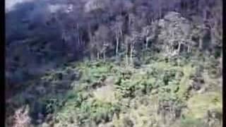 The Quiet Mutiny (1970) vietnam interviews part 1