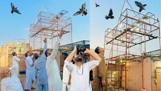 7 kabootaro wala 1 to 1 mukabla + tournament  | Dar pigeons club |