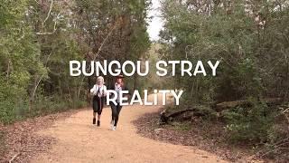 Bungou Stray Reality: A Soukoku Short