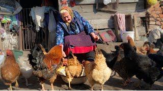  Rural village life  | Old grandma's daily routine and animal care  | Peaceful rural atmosphere 