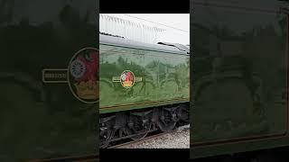 A3 60103 'Flying Scotsman' @ Stafford, 2/5/23 #steam #flyingscotsman #preserved