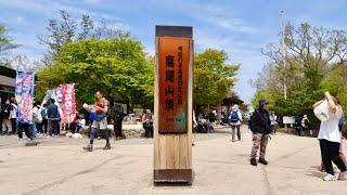 Japan, Tokyo : Mount Takao/Shinjuku