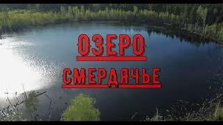 ОЗЕРО СМЕРДЯЧЬЕ. Урочище Шушмор. Тайное озеро в Подмосковье существует 7 тысяч лет