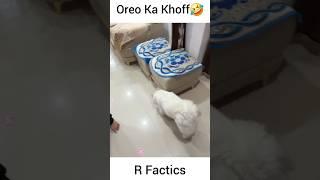 Oreo Ka Khoff  | #souravjoshivlogs #souravjoshimemes #shorts #trending