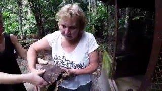 CREA - Amazonian rescue center of manatees in Iquitos, Peru