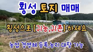 [1303] 토지매매+농막매매#횡성농막매매[토지,농막] 6평+비닐 하우스 55평,cctv 카메라 6개 (집기류등)  #횡성체류형쉼터#횡성토지매매