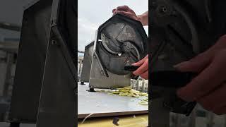 ‌Industrial vegetable cutter for bamboo shoots