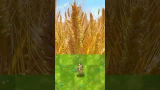PVZ Plants in real life ️