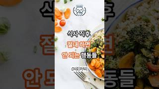 식사 직후 절대 하면 안 되는 행동들 #식후주의 #￼건강습관 #소화불량 #위건강 #위산역류 #건강루틴 #아프지마요