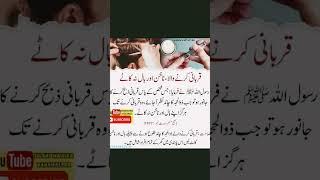 abdullah zafar islamic channel 2025