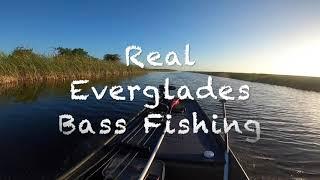 South Florida Everglades Bass Fishing.