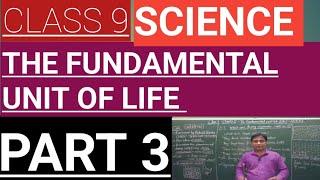 the fundamental unit of life class 9 PART 3 NCERT notes #education #cbse #neet