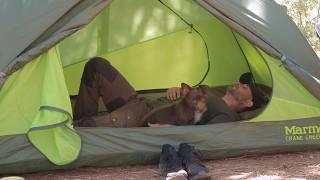 Solo Camping with My Dog in Forest . Cozy Relaxing in the tent ASMR