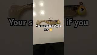 Your swimbait if you...