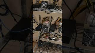 My Backyard Bitcoin Mining Facility in my Shed - Crypto Miner Cryptocurrency