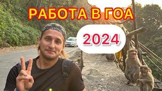 Как найти работу в Гоа в 2024 году?