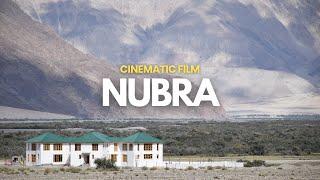 NUBRA VALLEY | 4K | Hunder Sand Dunes & Diskit, Ladakh [Drone Shots]