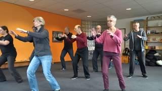 William C. C. Chen Tai Chi Chuan vorm