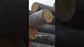 Каждая баня из Кело уникальна #kelo #соснакело #отделкаизкело
