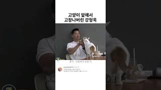 고양이 앞에서 고장나버린 강형욱