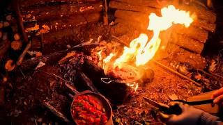 Solo Bushcraft Survival Camping In The Wilderness, Outdoor Cooking