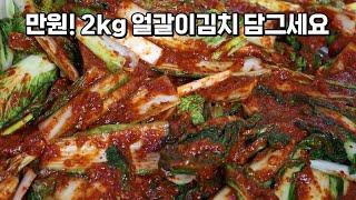 올해 배추가 너무 비싸서 얼갈이로 맛있는 김치를 담궜어요