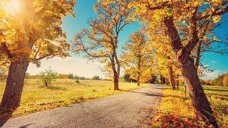 Wetter heute: So strahlend startet das Wochenende