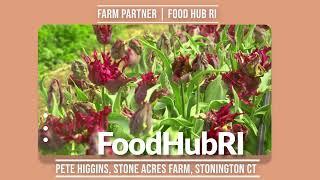 Stone Acres Farm, FoodHub RIFarm Partner