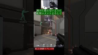 最後の息で精神的疲労がわかります　#valorant #fps #下手 #初心者 #sg #sr #ゲーム #ゲーム実況 #やってみた #逆vct