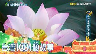 白河荷花美麗盛放 蓮子採收耗時費工 part4 台灣1001個故事｜白心儀