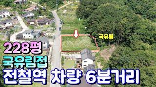 양평토지매매[908번] 국유림접하고 전철역 및 시내 차량 6분거리 토목 완료 남서향 집짓고 살기 좋은 숲세권 토지