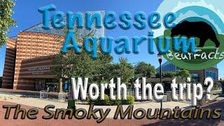 Tennessee Aquarium: Worth the Visit?