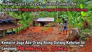 Ini Hutan Angker, Sudah Cepat Sana Pulang Sebelum Kingkong Datang Kemarin Juga Ada Yang Meninggal