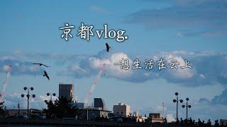 京都VLOG｜独自旅行最幸福的时刻🫧｜漫长的徒步后看到最美的风景｜阴天也有阴天的快乐｜i人的京都行完美收官