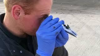 PJ Nicholls Mobile Servicing - Vehicle Health Check