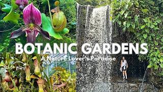 Exploring Singapore Botanic Gardens | Must Visit Spots and Cafe | A Nature Lover's Paradise