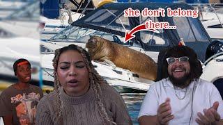 When Animals Lose Their Biggest Fear! | Casual Geographic Reaction