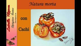 natura morta con cachi