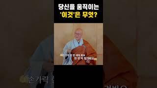  따라 해 보세요! 당신을 움직이는 '이것'은 무엇? #화두 #수불스님 #참선 #깨달음 #간화선