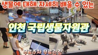 생물에 대해 배운다! 인천 국립생물자원관