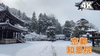 【Kyoto 4K】An ancient building with a history of thousands of years, a national treasure of Japan