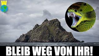 Die gefährlichste Insel der Welt - die SCHLANGENINSEL | WeltWissen