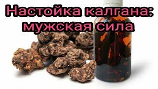 Kalgan tincture, male power, Carpathian recipe. Painkillers. Restorative. folk remedies