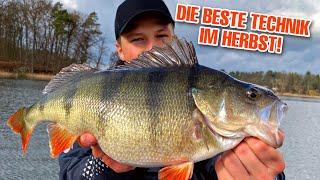 Drop Shot vs. Jig vs. Carolina Rig - DAS ist die BESTE TECHNIK für Barsche im Herbst!