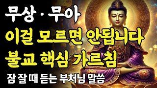 무상·무아를 모르면 불교를 모르는 것이다! 이 사실을 알면 인생이 바뀐다ㅣ부처님 말씀ㅣ불교 명언