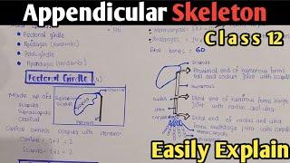 Appendicular Skeleton | pectoral & pelvic girdle | Class 12 (Urdu/Hindi)